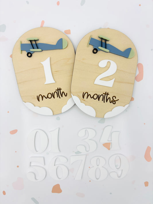 Vintage Airplane Monthly Milestones