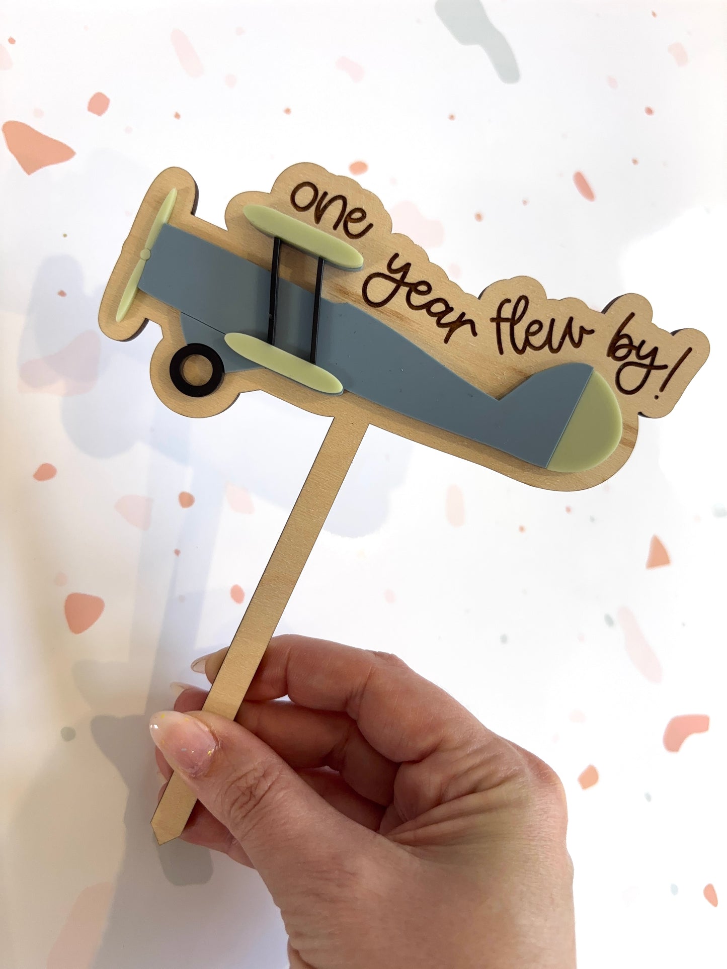 Vintage Airplane Cake topper - ages 1-3