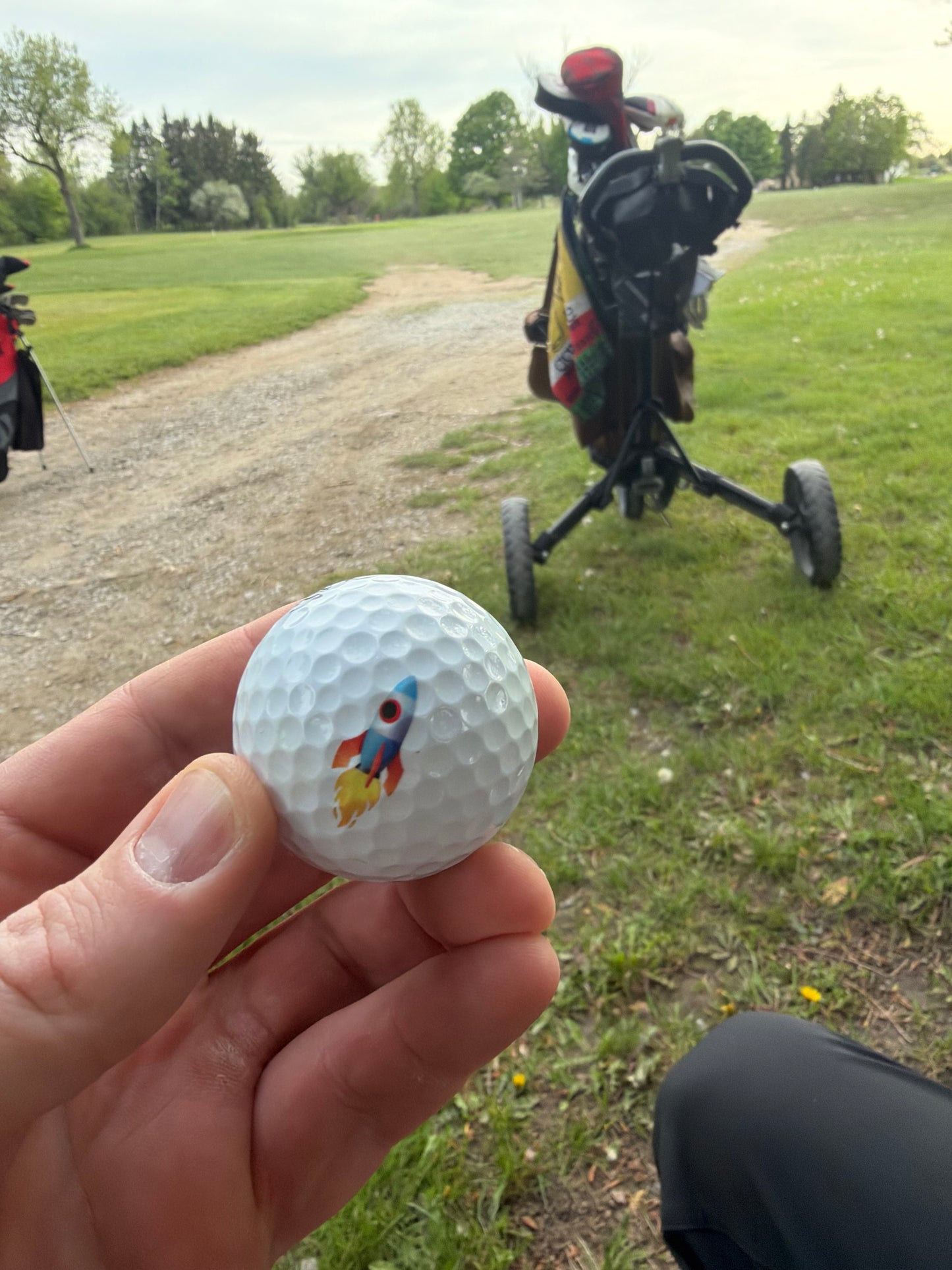 Custom Printed Titleist Pro V1 Golf Balls – Set of 3 [PREORDER]