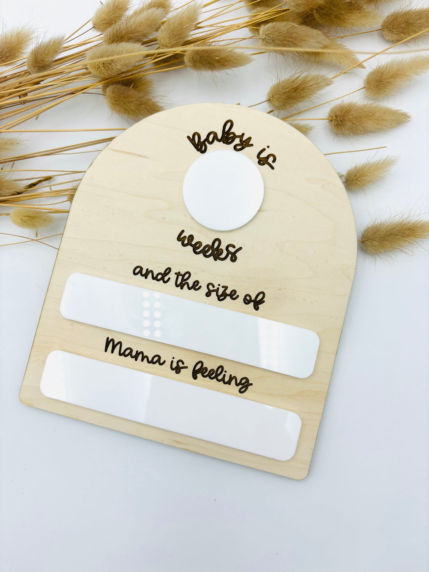 Pregnancy Milestone Dry Erase Photo Prop