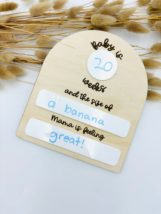 Pregnancy Milestone Dry Erase Photo Prop