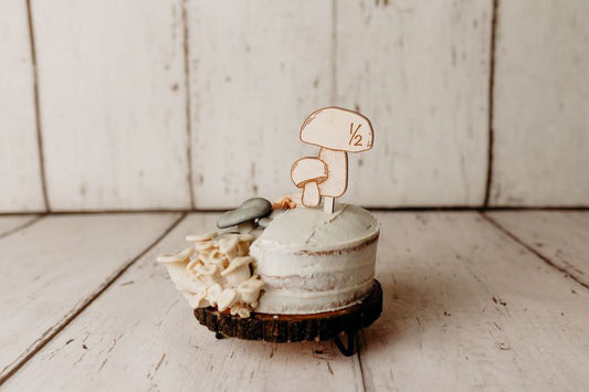 Wooden mushroom cake topper