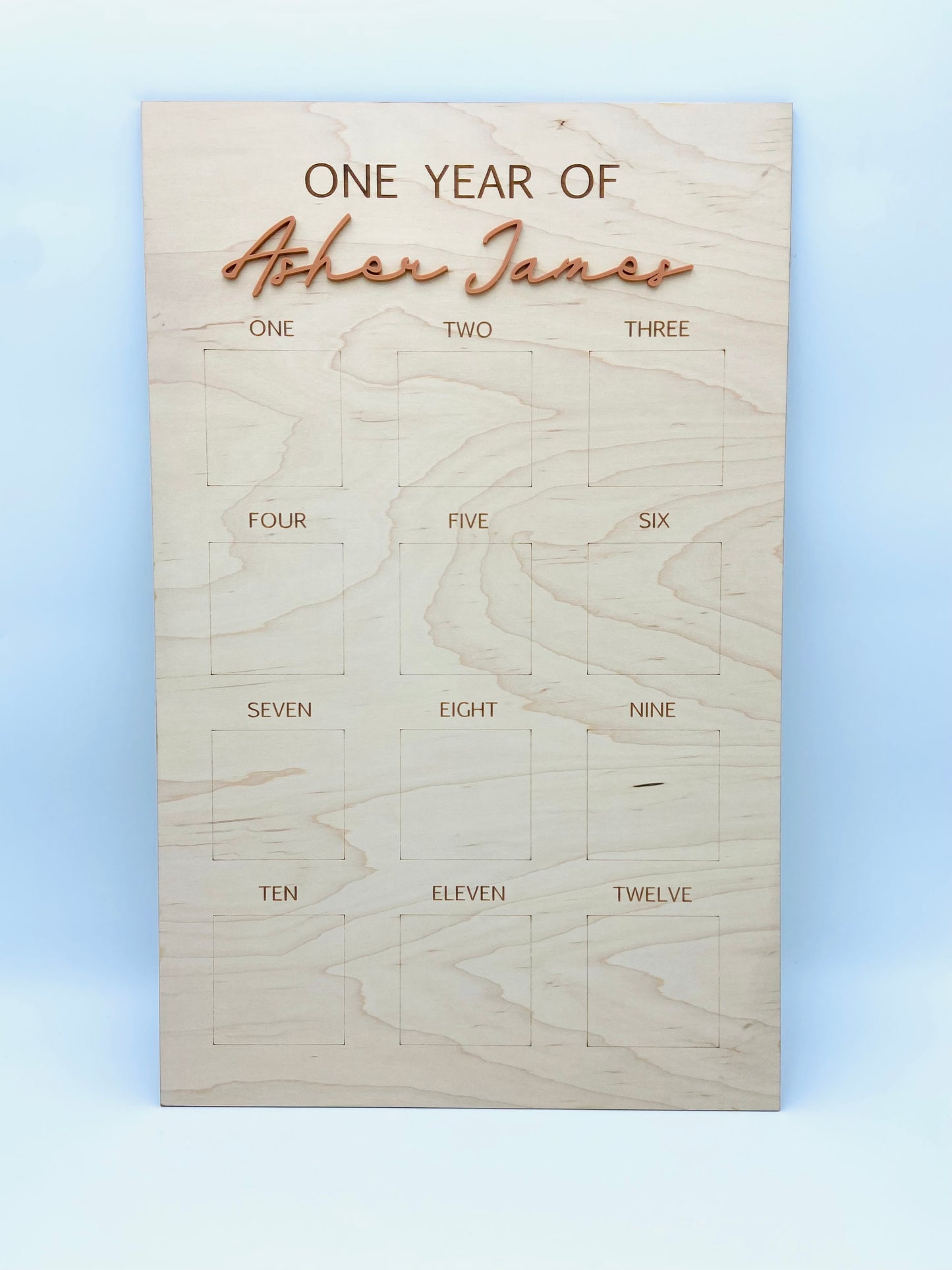 Baby's first year photo board