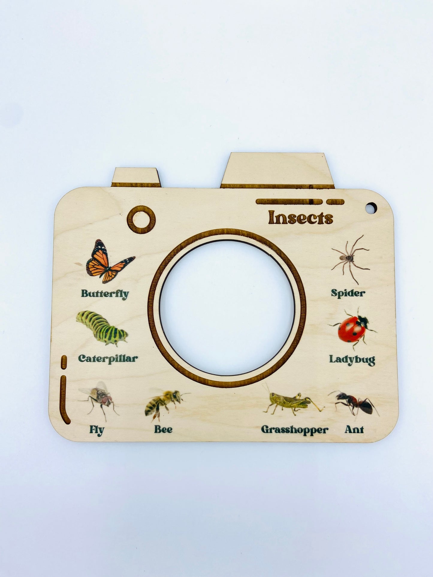 Nature Viewfinder - Insects