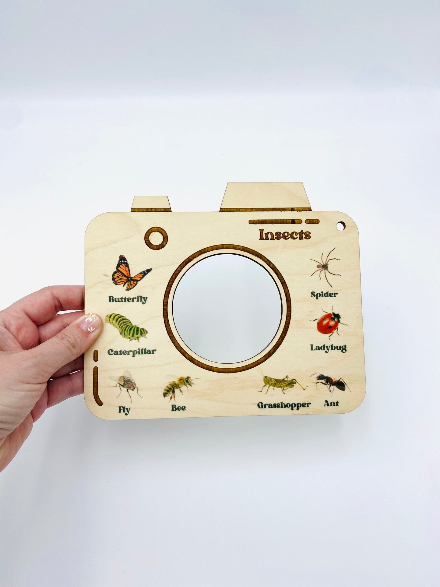 Nature Viewfinder - Insects