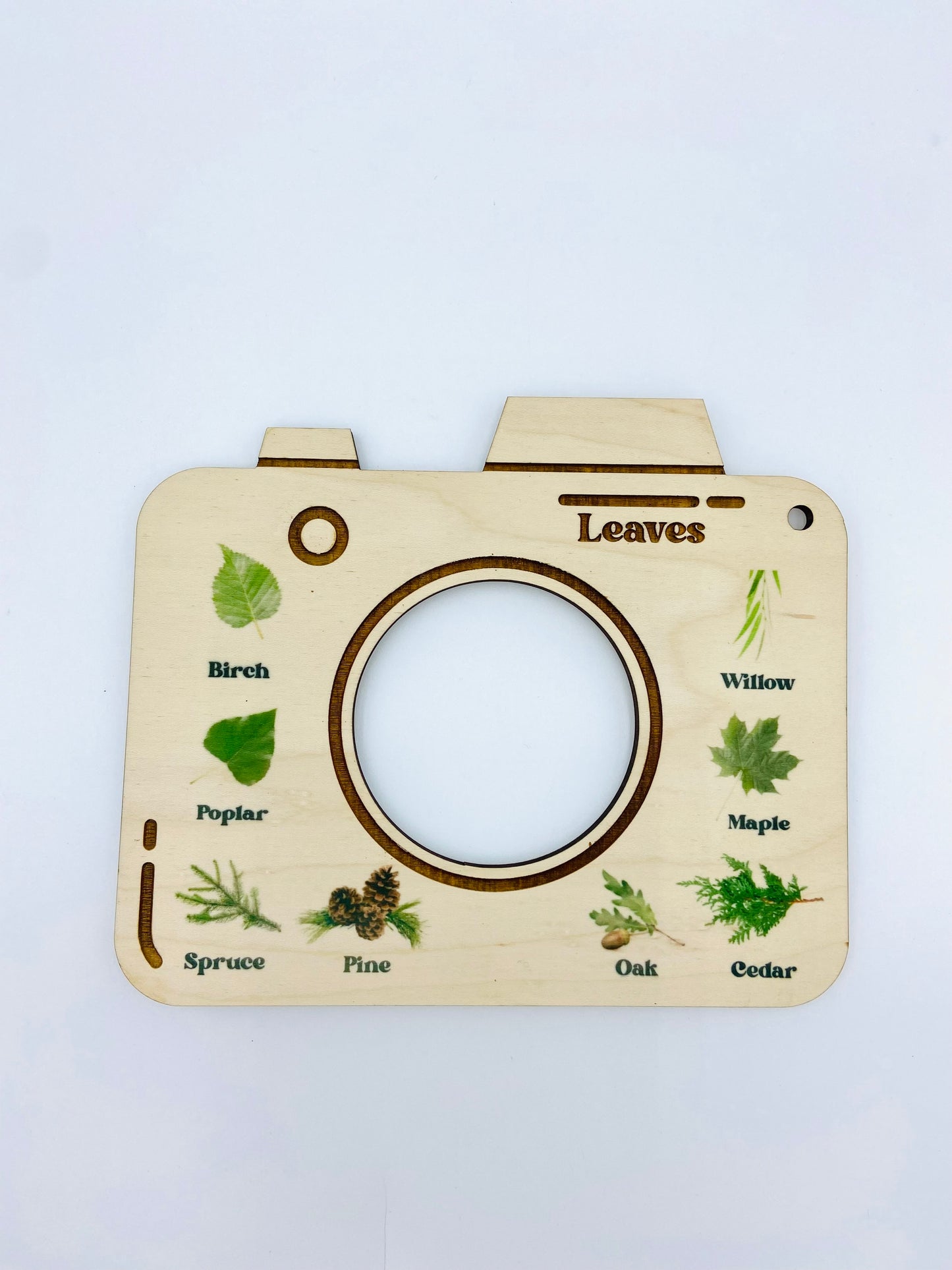 Nature Viewfinder - Leaves