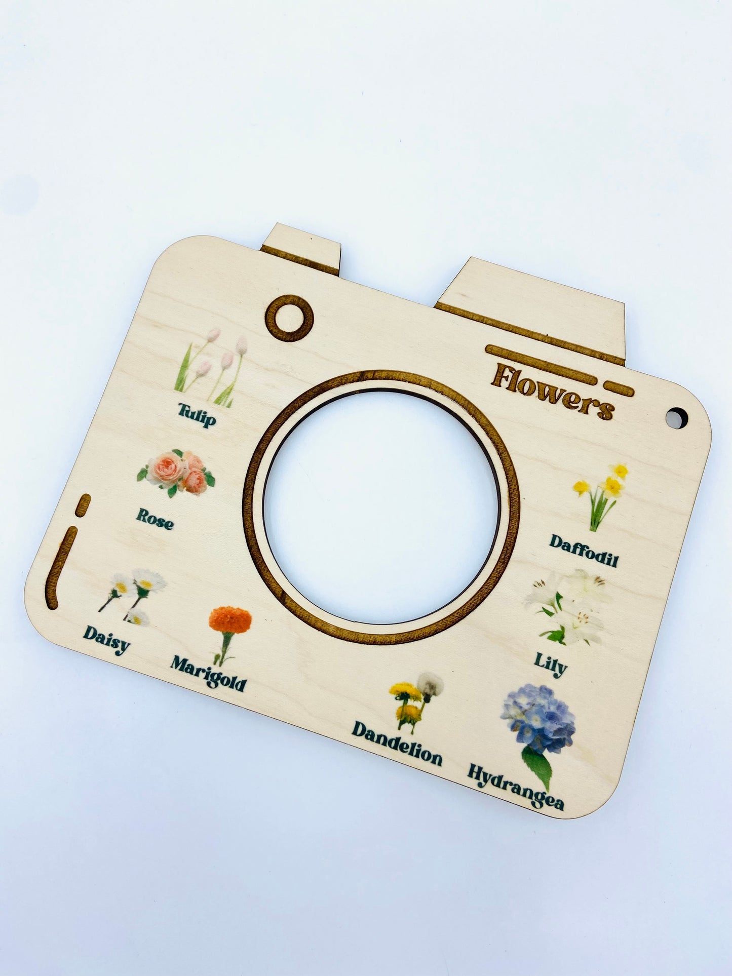 Nature Viewfinders - set of 5