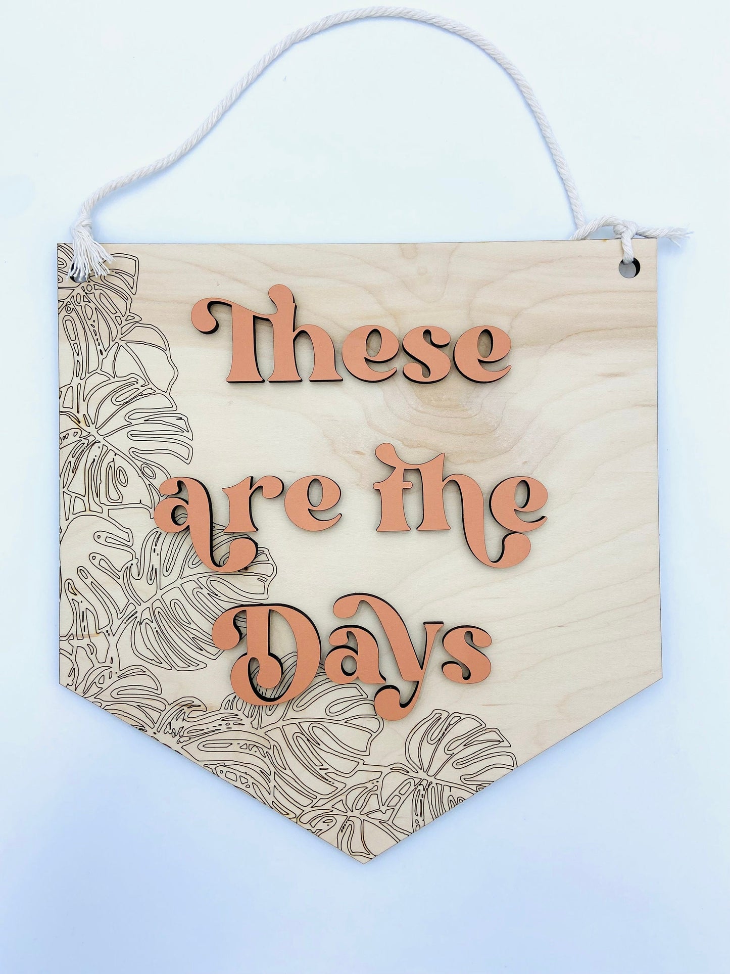 These are the days wooden wall hanging